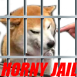 :doge_horny_jail: