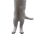 :longcat3: