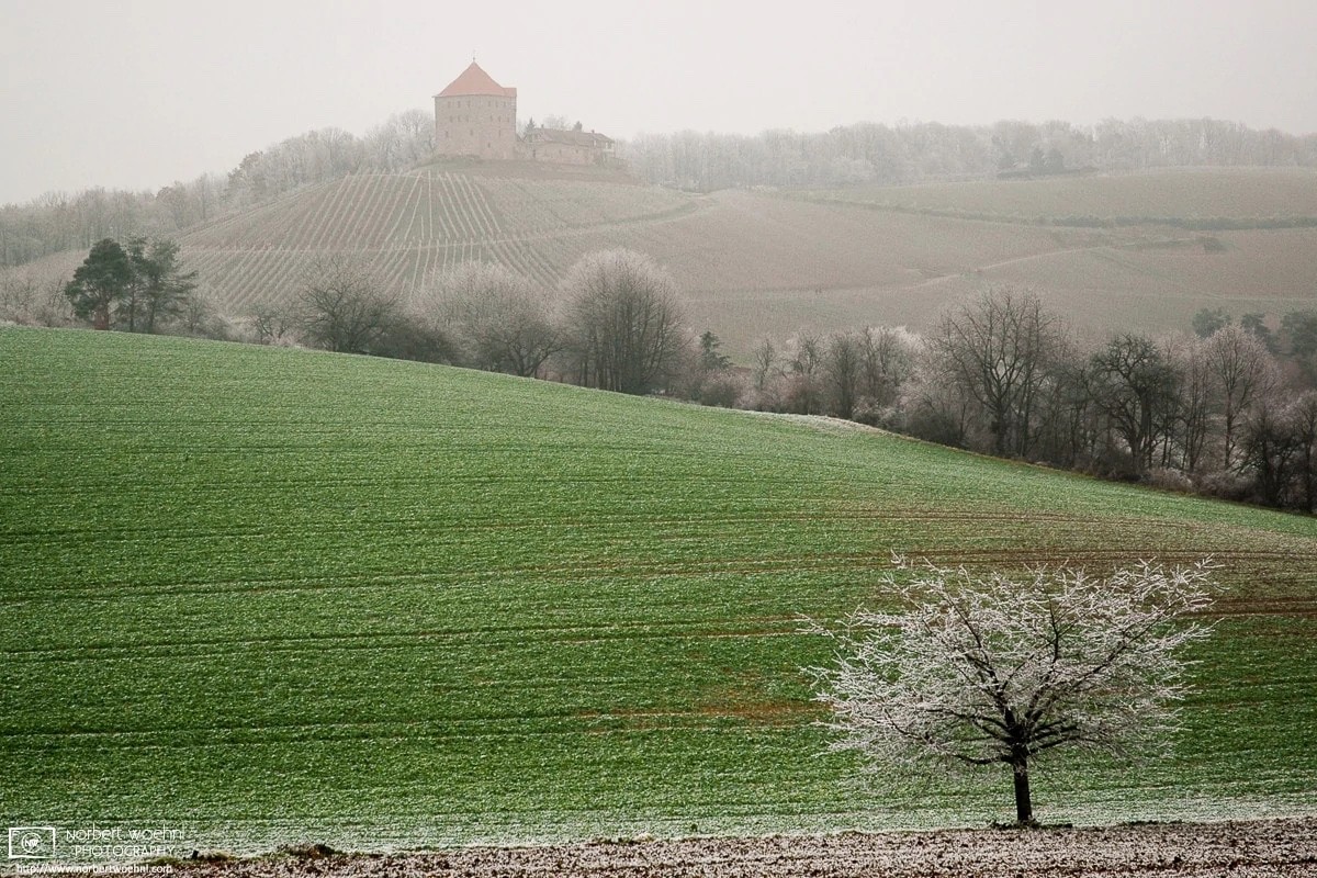 A winder image of Wildeck Castle in southwestern Germany. The castle is situated on top of a hillside vineyard. There are trees and a sweeping field in the foreground. All visible natural landscape features are covered with a thin layer of frost.