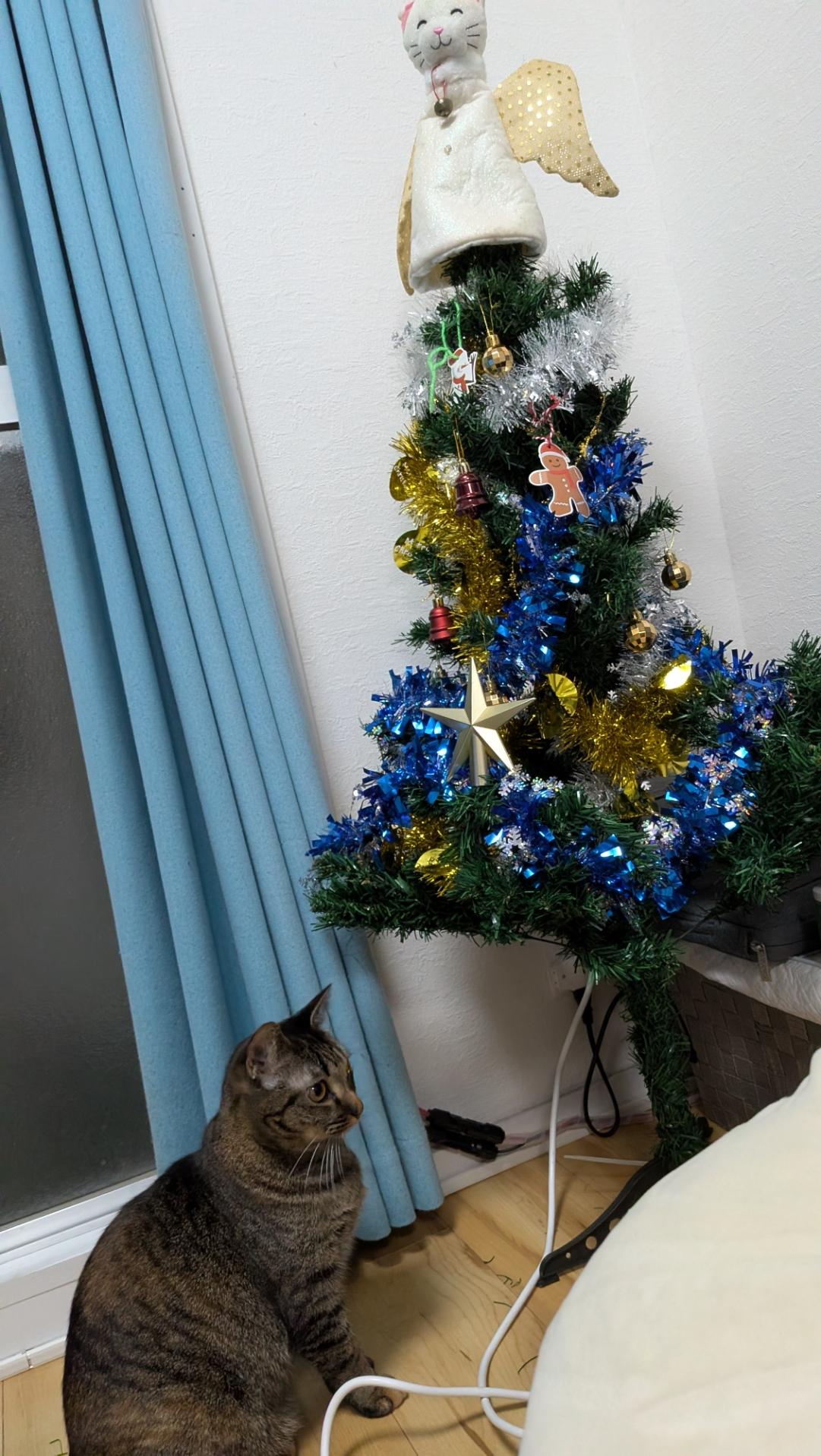 A kind of crap plastic Christmas tree with a cat angel on top, and a tortie tabby mix cat in front of it.