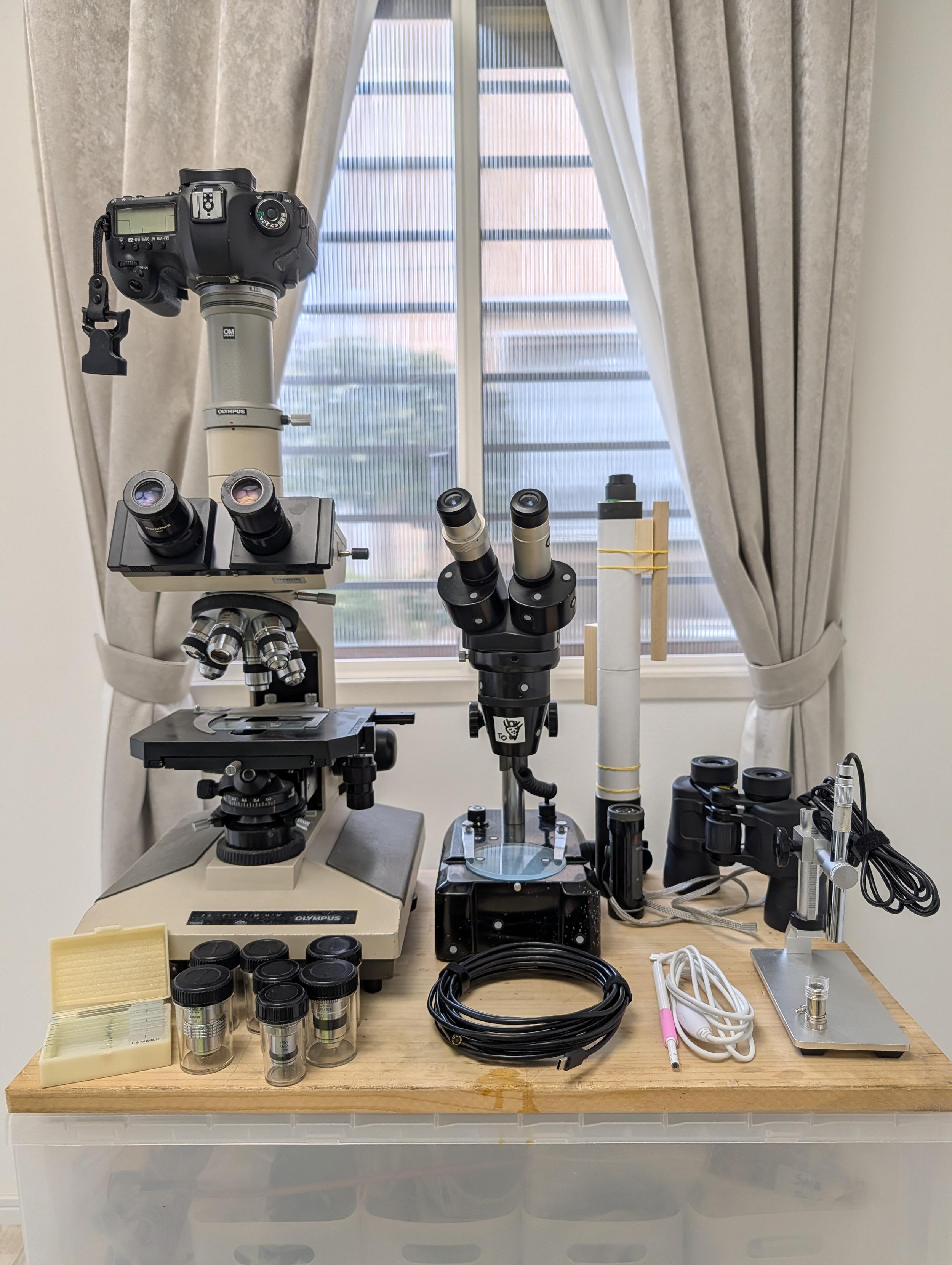 biological microscope, stereoscope, telescope, binoculars, USB microscopes, borescope, snake scope, magnifier scope, objectives, prepared slides